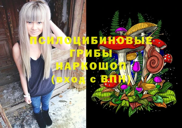 а пвп мука Алзамай
