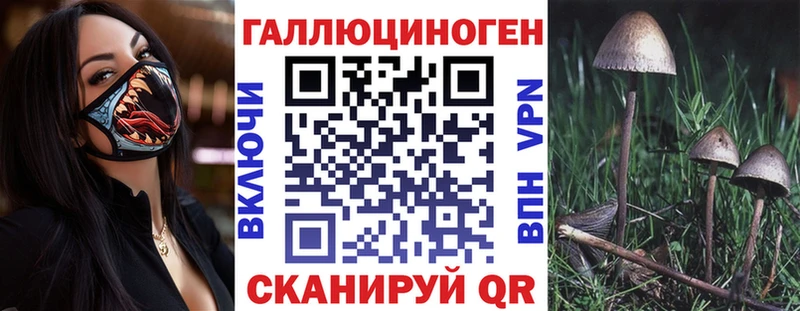 Галлюциногенные грибы мицелий  Купить  Сурск 